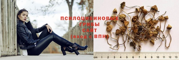 гидропоника Осинники