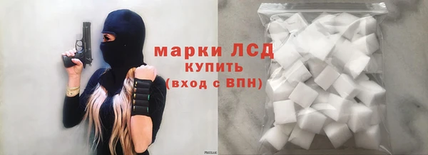 дурь Няндома