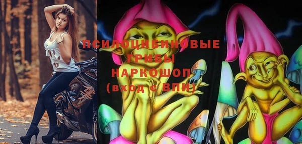 гидропоника Осинники