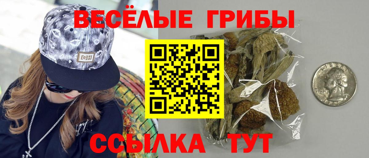 Псилоцибиновые грибы Cubensis Кувандык