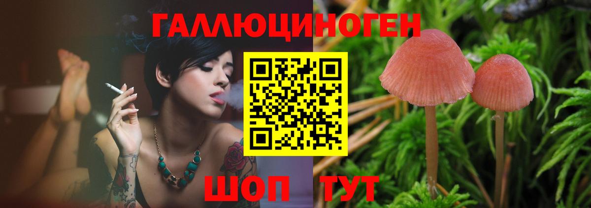 Кувандык  Псилоцибиновые грибы мухоморы  Вход с VPN 